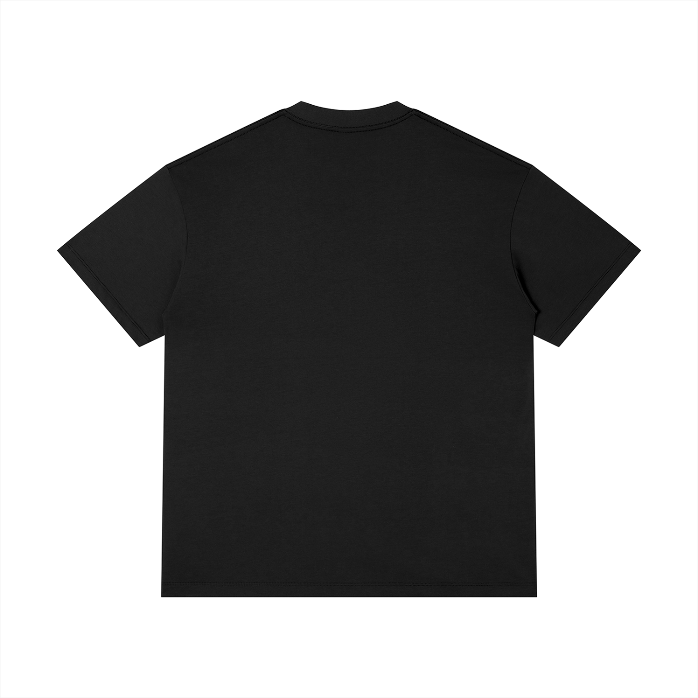 Wild Heart Lion Heart Apparel T-Shirt